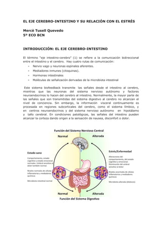 EL EJE CEREBRO-INTESTINO Y SU RELACIÓN CON EL ESTRÉS
Mercè Tusell Quevedo
5º ECO BCN
INTRODUCCIÓN: EL EJE CEREBRO-INTESTINO
El término “eje intestino-cerebro” (1) se refiere a la comunicación bidireccional
entre el intestino y el cerebro. Hay cuatro rutas de comunicación:
- Nervio vago y neuronas espinales aferentes.
- Mediadores inmunes (citoquinas).
- Hormonas intestinales
- Moléculas de señalización derivadas de la microbiota intestinal
Este sistema biofeedback transmite las señales desde el intestino al cerebro,
mientras que las neuronas del sistema nervioso autónomo y factores
neuroendocrinos lo hacen del cerebro al intestino. Normalmente, la mayor parte de
las señales que son transmitidas del sistema digestivo al cerebro no alcanzan el
nivel de conciencia. Sin embargo, la información visceral continuamente es
procesada en regiones subcorticales del cerebro, como el sistema límbico, y
en centros neuroendocrinos y del sistema nervioso autónomo en hipotálamo
y tallo cerebral. En condiciones patológicas, las señales del intestino pueden
alcanzar la corteza dando origen a la sensación de nausea, disconfort o dolor.
 