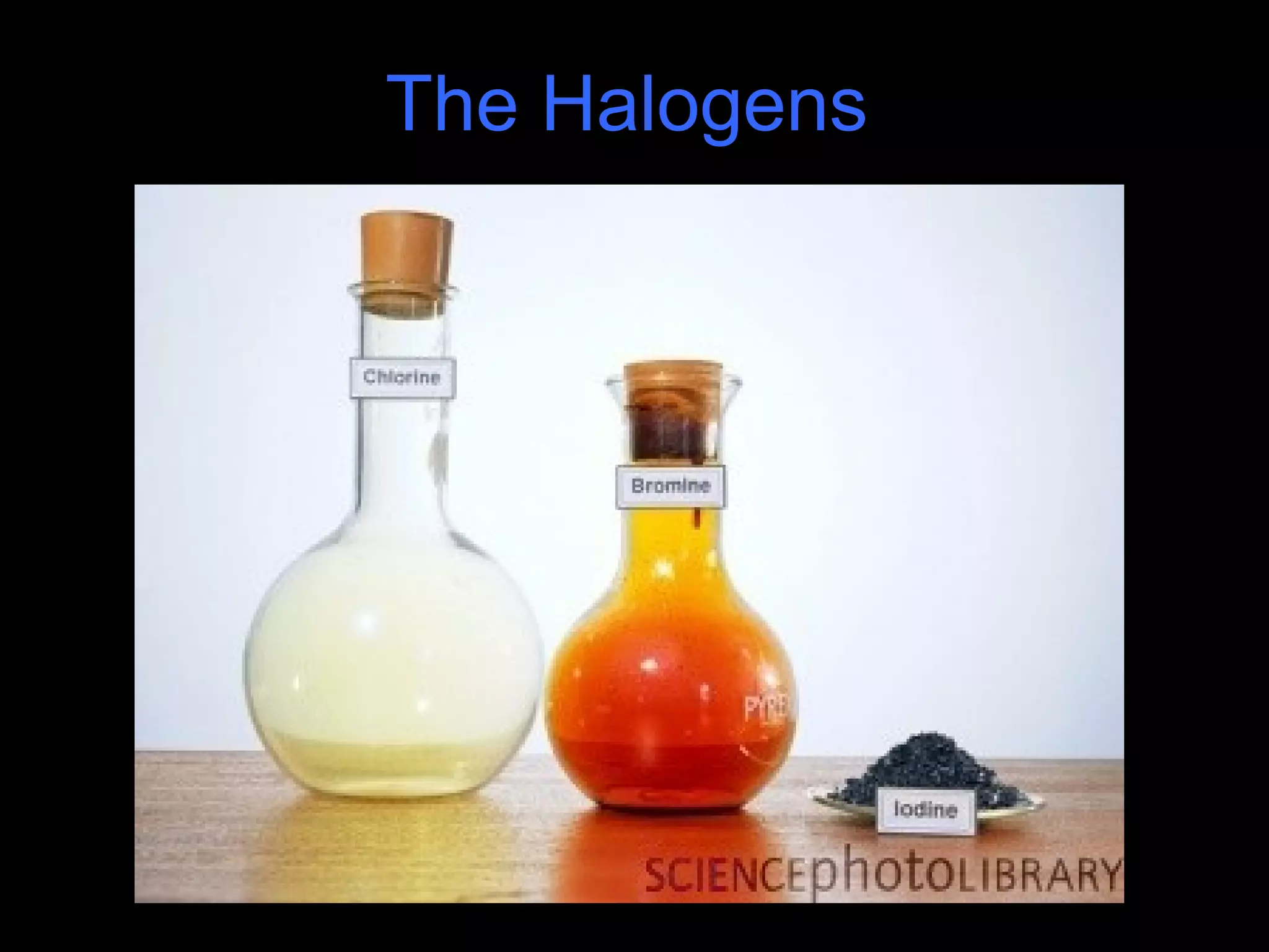 The Halogens
 