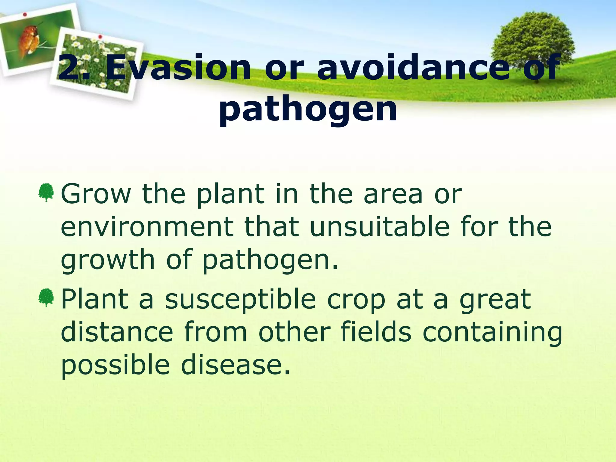 2. Evasion or avoidance of
pathogen
Grow the plant in the area or
environment that unsuitable for the
growth of pathogen.
Plant a susceptible crop at a great
distance from other fields containing
possible disease.

 