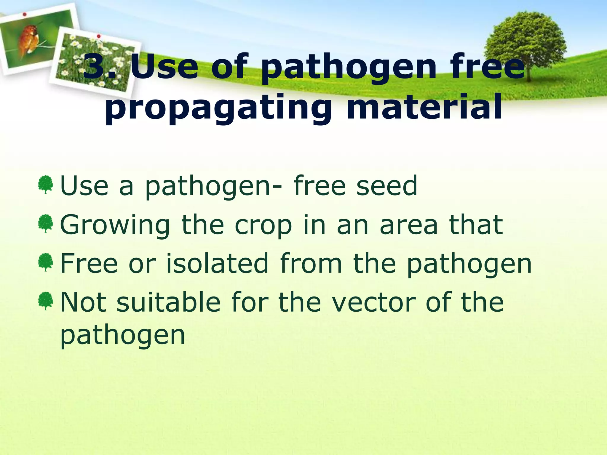 3. Use of pathogen free
propagating material
Use a pathogen- free seed
Growing the crop in an area that
Free or isolated from the pathogen
Not suitable for the vector of the
pathogen

 