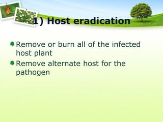 1) Host eradication
Remove or burn all of the infected
host plant
Remove alternate host for the
pathogen

 