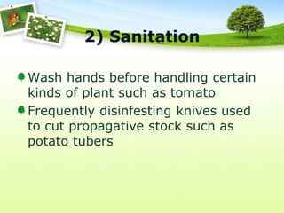 2) Sanitation
Wash hands before handling certain
kinds of plant such as tomato
Frequently disinfesting knives used
to cut propagative stock such as
potato tubers

 