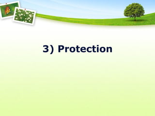 3) Protection

 