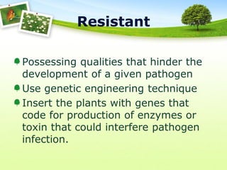 Resistant
Possessing qualities that hinder the
development of a given pathogen
Use genetic engineering technique
Insert the plants with genes that
code for production of enzymes or
toxin that could interfere pathogen
infection.

 