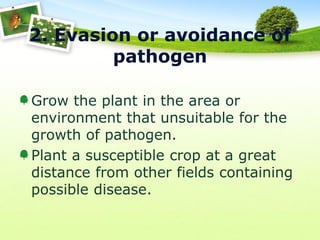 2. Evasion or avoidance of
pathogen
Grow the plant in the area or
environment that unsuitable for the
growth of pathogen.
Plant a susceptible crop at a great
distance from other fields containing
possible disease.

 