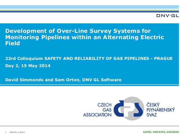Dnv surveyor resume