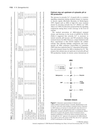 Calcium may act upstream of cytosolic pH or
NO production
The increase in cytosolic Ca2+
of guard cells is a common
signalling component during stomatal closure in response
to diverse signals (McAinsh, Brownlee & Hetherington
1997). Signals such as ABA or high CO2 cause stomatal
closure by elevating cytosolic free Ca2+
(Webb et al. 1996;
Allen et al. 1999).It is therefore proposed that the signalling
components during these events converge at the level of
calcium.
The marked prevention of ABA-induced stomatal
closure and decrease in the levels of pH/NO by EGTA
(Table 1) suggested that cytosolic Ca2+
is necessary to
sustain cytosolic pH increase and NO production during
stomatal closure by ABA. However, a major limitation with
these experiments is that EGTA depletes the cellular
calcium, thus affecting multiple components and conse-
quently all ABA responses. Garcia-Mata & Lamattina
(2007) also have indicated that Ca2+
-dependent NO produc-
tion and stomatal closure by ABA is mediated by Ca2+
. We
propose that calcium may act upstream of cytosolic pH and
NO production, besides its known action downstream of
Table1.TheeffectofpHmodulators(butyrateandmethylamine)orNOmodulators(cPTIO,L-NAMEorSNP)andcalciumchelator(EGTA)onABA-inducedstomatalclosure,
cytosolicpHchangesandNOproductioninguardcellsofPisumsativum
Treatment
-ABA10mm+ABA10mm
Stomatal
aperture
(mm)
BCECF-AM
ﬂuorescence
(%control)
DAF-2DA
ﬂuorescence
(%control)
Stomatal
aperture
(mm)
BCECF-AM
ﬂuorescence
(%control)
DAF-2DA
ﬂuorescence
(%control)
None(control)8.9Ϯ0.2100Ϯ0100Ϯ03.3*Ϯ0.2157*Ϯ3161*Ϯ4
0.1mmbutyrate9.2Ϯ0.291Ϯ2107Ϯ26.2*Ϯ0.1101Ϯ4111Ϯ2
2mmmethylamine4.3Ϯ0.2173Ϯ3159Ϯ41.9*Ϯ0.3174Ϯ7166Ϯ6
0.2mmcPTIO9.1Ϯ0.2108Ϯ2106Ϯ28.8Ϯ0.3140*Ϯ5109Ϯ3
0.1mmL-NAME8.7Ϯ0.1108Ϯ5103Ϯ26.9Ϯ0.3139*Ϯ5120Ϯ4
1mmEGTA9.0Ϯ3.9110Ϯ2105Ϯ28.6Ϯ0.2108Ϯ4110Ϯ3
0.1mmSNP3.9Ϯ0.2122Ϯ5164Ϯ83.1Ϯ0.2156*Ϯ3168Ϯ4
*SigniﬁcantatPvalue<0.05comparedwiththerespectivetreatmentwithoutABA.
TheextentofﬂuorescencewithoutABAandwithoutanyeffectoristakenas100%.ResultsaretheaveragesϮSEofthreetofourindependentexperiments.Furtherdetailsaregiveninthe
MaterialsandMethodssection.
NO,nitricoxide;SNP,sodiumnitroprusside;ABA,abscisicacid;BCECF-AM,2′,7′-bis(2-carboxy-ethyl)-5(6)-carboxyﬂuorescein-acetoxymethylester;DAF-2DA,4,5-diaminoﬂuorescein
diacetate.
Figure 7. Schematic representation of abscisic acid
(ABA)-induced stomatal closure. Cytosolic alkalinization is one
of the key and early steps leading to stomatal closure. Exposure
to ABA leads to an increase in cytosolic pH, raises the level of
nitric oxide (NO), and subsequently leads to stomatal closure.
Modulation of guard cell pH by butyrate or methylamine affects
NO levels in guard cells and the extent of stomatal closure.
Similarly, modulation of NO levels affects stomatal closure but
not the pH rise. Ca2+
appears to be necessary for ABA-induced
rise in pH as well as the action of NO. The role of Ca2+
upstream
of NO is well known in the literature.
1722 V. K. Gonugunta et al.
© 2008 The Authors
Journal compilation © 2008 Blackwell Publishing Ltd, Plant, Cell and Environment, 31, 1717–1724
 
