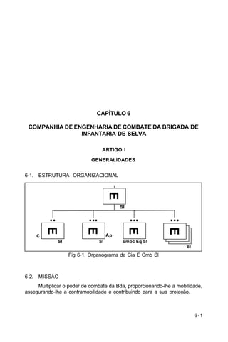 6-1 
C 5-10 
CAPÍTULO 6 
COMPANHIA DE ENGENHARIA DE COMBATE DA BRIGADA DE 
INFANTARIA DE SELVA 
ARTIGO I 
GENERALIDADES 
6-1. ESTRUTURA ORGANIZACIONAL 
E 
E 
Sl 
E Sl 
Embc Eq Sl 
Ap 
Fig 6-1. Organograma da Cia E Cmb Sl 
C 
E 
Sl 
6-2. MISSÃO 
E 
Sl 
Multiplicar o poder de combate da Bda, proporcionando-lhe a mobilidade, 
assegurando-lhe a contramobilidade e contribuindo para a sua proteção. 
 