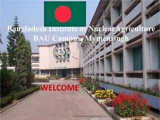 WELCOME
Bangladesh Institute of NuclearAgriculture
BAU Campus, Mymensingh
 