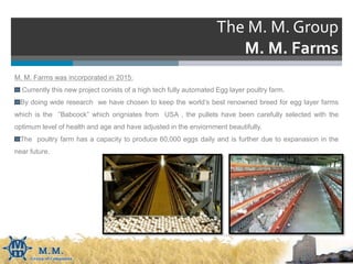 The M. M. Group
M. M. Farms
M. M. Farms was incorporated in 2015:
Currently this new project conists of a high tech fully automated Egg layer poultry farm.
By doing wide research we have chosen to keep the world’s best renowned breed for egg layer farms
which is the ”Babcock” which origniates from USA , the pullets have been carefully selected with the
optimum level of health and age and have adjusted in the enviornment beautifully.
The poultry farm has a capacity to produce 60,000 eggs daily and is further due to expanasion in the
near future.
 