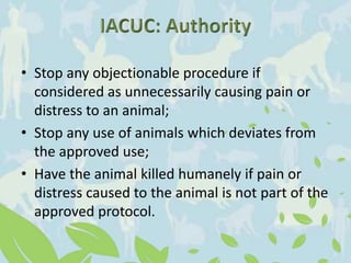 • Stop any objectionable procedure if
considered as unnecessarily causing pain or
distress to an animal;
• Stop any use of animals which deviates from
the approved use;
• Have the animal killed humanely if pain or
distress caused to the animal is not part of the
approved protocol.
 