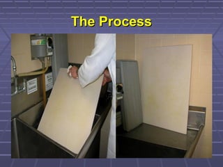 The ProcessThe Process
 