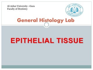 EPITHELIAL TISSUE
General Histology Lab
Al-Azhar University –Gaza
Faculty of Dentistry
 
