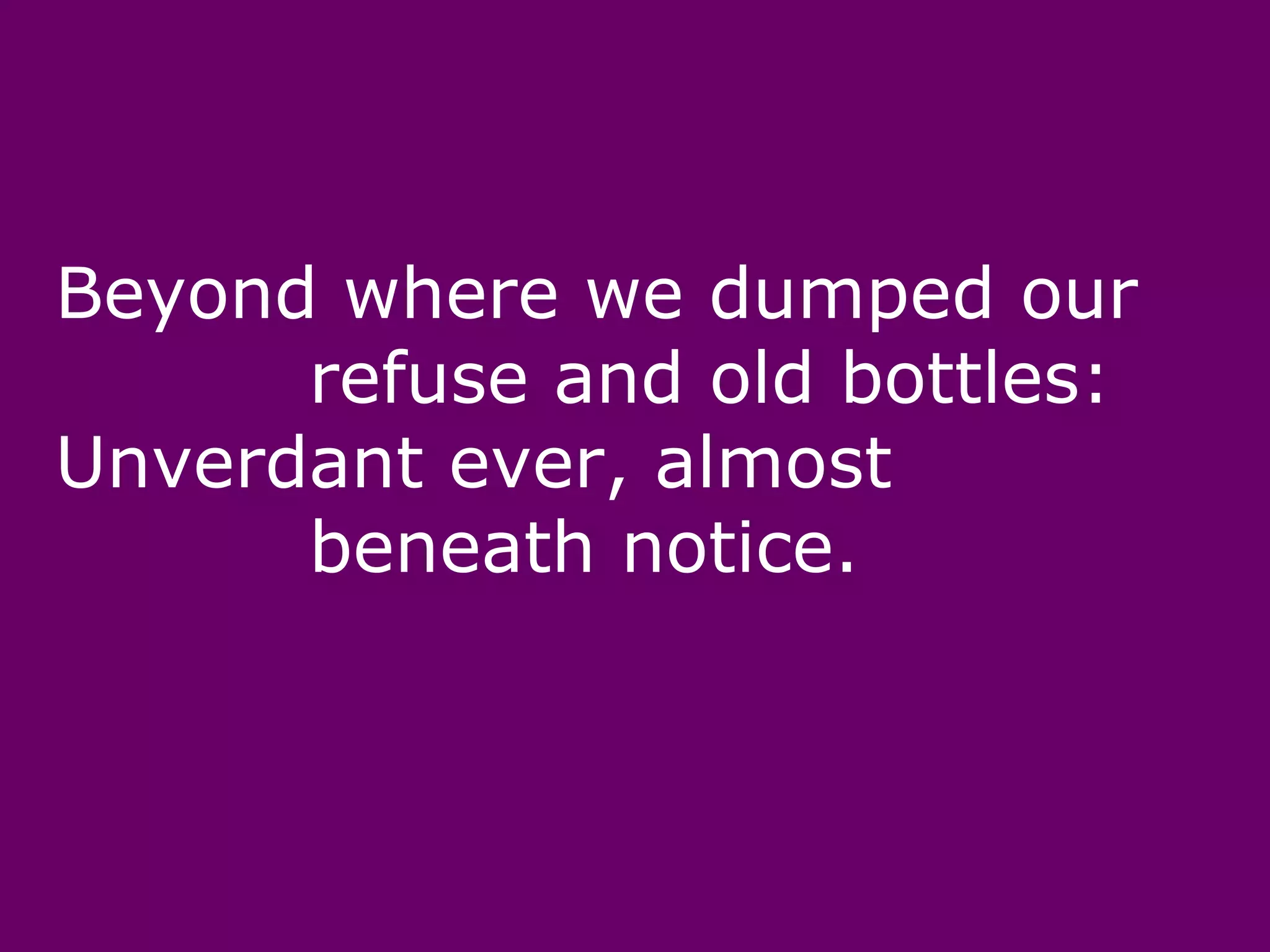 Beyond where we dumped our
      refuse and old bottles:
Unverdant ever, almost
      beneath notice.
 