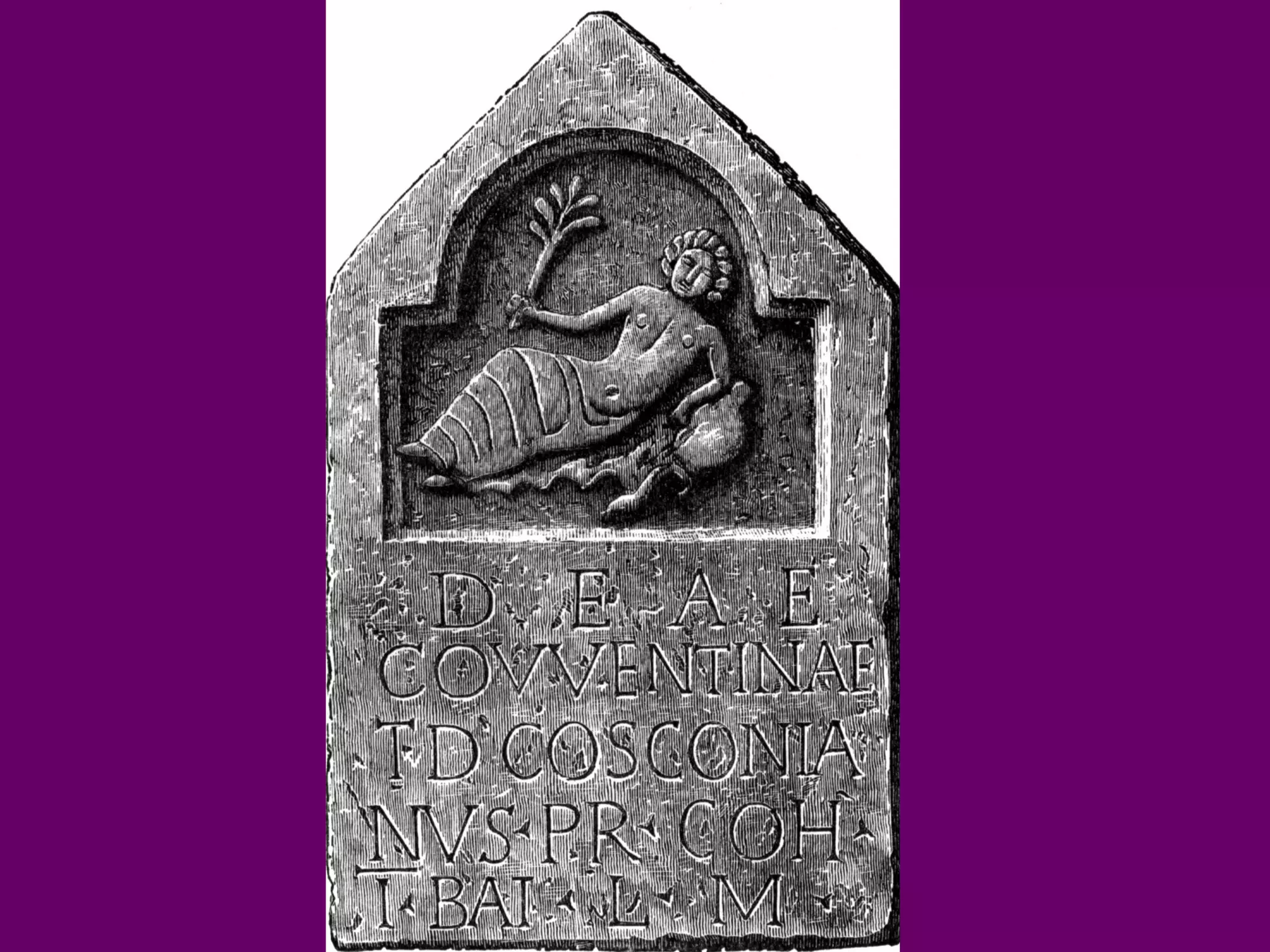 C567a last guild_images