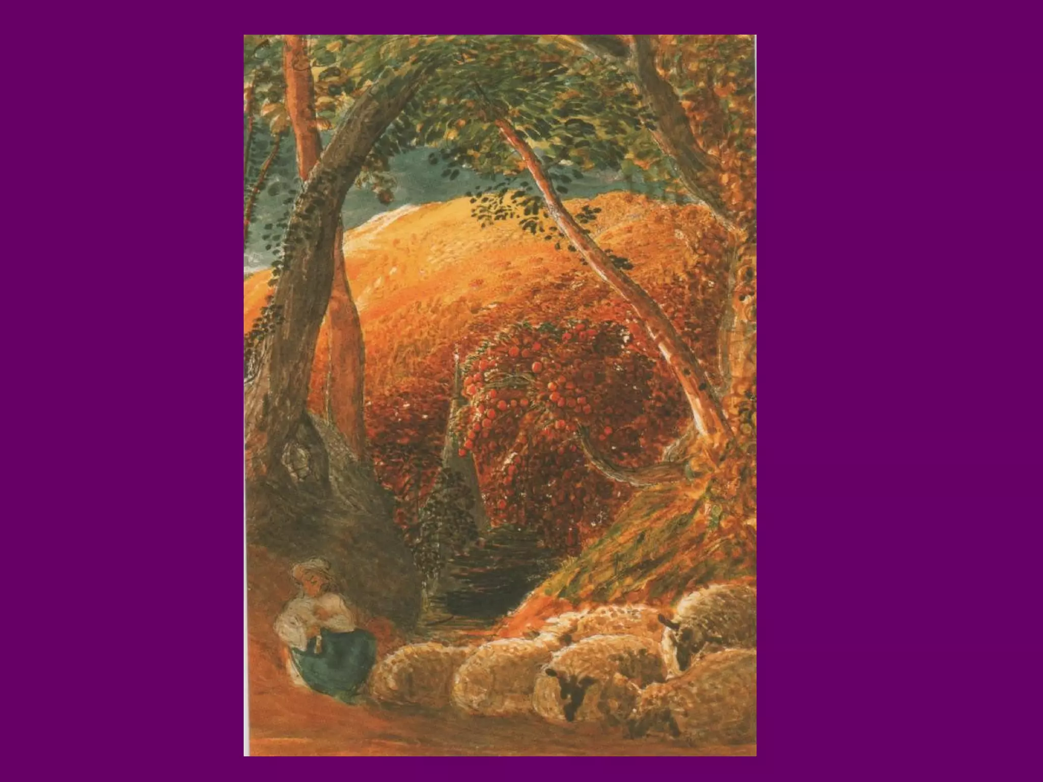 C567a last guild_images