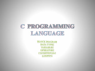 C PROGRAMMING LANGUAGE | PPT