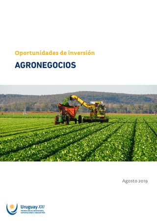 Oportunidades de inversión
AGRONEGOCIOS
Agosto 019
 