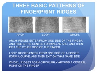 THREE BASIC PATTERNS OF
FINGERPRINT RIDGES
ARCH LOOP WHORL
ARCH: RIDGES ENTER FROM ONE SIDE OF THE FINGER,
AND RISE IN THE CENTER FORMING AN ARC, AND THEN
EXIT THE OTHER SIDE OF THE FINGER
LOOP: RIDGES ENTER FROM ONE SIDE OF A FINGER,
FORM A CURVE, AND THEN EXIT ON THAT SAME SIDE
WHORL: RIDGES FORM CIRCULARLY AROUND A CENTRAL
POINT ON THE FINGER
 