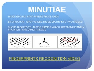 MINUTIAE
RIDGE ENDING: SPOT WHERE RIDGE ENDS
BIFURCATION: SPOT WHERE RIDGE SPLITS INTO TWO RIDGES
SHORT RIDGE(DOT): THOSE RIDGES WHICH ARE SIGNIFICANTLY
SHORTER THAN OTHER RIDGES
FINGERPRINTS RECOGNITION VIDEO
 