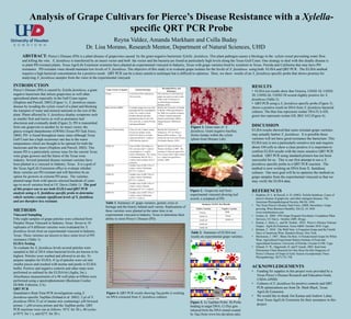 Analysis of Grape Cultivars for Pierce’s Disease Resistance with a Xylella-
specific QRT PCR Probe
Reyna Valdez, Amanda Markham and Csilla Buday
Dr. Lisa Morano, Research Mentor, Department of Natural Sciences, UHD
INTRODUCTION
Pierce’s Disease (PD) is caused by Xylella fastidiosa, a gram
negative bacterium that infects grapevines as well other
agricultural plants especially in the Gulf Coast region
(Hopkins and Purcell, 2003) (Figure 1). X. fastidiosa causes
disease by invading the xylem vessel of a plant and blocking
the transport of water and mineral nutrients to the rest of the
plant. Plants affected by X. fastidiosa display symptoms such
as smaller fruit and leaves as well as premature leaf
abscission and eventually death (Figure 2). PD is transmitted
from one grapevine to another by its insect vector, the
glassy-winged sharpshooter (GWSS) (Texas PD Task Force,
2004). PD is found throughout many states although Texas
Gulf Coast has a high recurrence rate due to the warm
temperatures which are thought to be optimal for both the
bacterium and the insect (Hopkins and Purcell, 2002). This
means PD is a particularly serious issue for the current Texas
wine grape growers and the future of the Texas wine
industry. Several potential disease resistant varieties have
been planted in a vineyard in Industry, Texas. It is a goal of
the Texas AgriLife Extenstion office to evaluate whether
these varieties are PD resistant and will therefore be an
option for growers in extreme PD areas. The varieties
planted range from wild species selected hundreds of years
ago to novel varieties bred at UC Davis (Table 1). The goal
of this project was to use both ELISA and QRT PCR
analysis using a X. fastidiosa specific probe to determine
which varieties contain significant levels of X. fastidiosa
and are therefore less resistant.
METHODS
Vineyard Sampling
Fifty-eight samples of grape petioles were collected from
Paradox House Vineyard in Industry, Texas. Seven to 10
replicates of 8 different varieties were evaluated for X.
fastidiosa levels from an experimental vineyard in Industry,
Texas. These varieties are known to have some level of PD
resistance (Table 1).
ELISA Testing
To evaluate for X. fastidiosa levels several petioles were
sampled in fall of 2014 when bacterial levels are known to be
highest. Petioles were washed and allowed to air dry. To
prepare samples for ELISA, 0.1g of petioles were cut into
smaller pieces and crushed with mortar and pestle in ELISA
buffer. Positive and negative controls and other steps were
performed as outlined by the ELISA kit (Agdia, Inc.).
Absorbance measurements of a 96 well-plate at 650nm were
performed using a spectrophotometer (Beckman Coulter
DU800, Fullerton, CA).
QRT PCR
Quantitative Real-Time PCR investigations using X.
fastidiosa-specific TaqMan (Schaad et al. 2002). 2 µl of X.
fastidiosa DNA 23 µl of master mix containing1 µM forward
primer, 1 µM reverse primer and the TaqMan probe. QRT
PCR reactions were run as follows: 95°C for 30 s, 40 cycles
at 95°C for 1 s, and 62°C for 20 s.
ABSTRACT: Pierce’s Disease (PD) is a plant disease of grapevines caused by the gram negative bacterium Xylella fastidiosa. This plant pathogen causes a blockage in the xylem vessel preventing water flow
and killing the vine. X. fastidiosa is transferred by an insect vector and both the vector and the bacteria are found at particularly high levels along the Texas Gulf Coast. One strategy to deal with this deadly disease is
to plant PD resistant plants. Texas AgriLife Extension scientists have planted an experimental vineyard in Industry, Texas with grape varieties bred by scientists in Texas, Florida and California that may have PD
resistance. PD resistant vines should maintain low levels of X. fastidiosa. The objective of this study is to evaluate grape isolates for the levels of X. fastidiosa using both ELISA and QRT PCR. The ELISA method
requires a high bacterial concentration for a positive result. QRT PCR can be a more sensitive technique but is difficult to optimize. Here, we show results of an X. fastidiosa specific probe that shows promise for
analyzing X. fastidiosa samples from the vines in the experimental vineyard.
RESULTS
• ELISA test results show that Victoria, U0502-10, U0502-
20, U0502-26, U0502-38 scored slightly positive for X.
fastidiosa (Table 2).
• QRT-PCR using a X. fastidiosa specific probe (Figure 3)
shows a positive result on DNA from X. fastidiosa bacterial
cultures. The blue line represents isolate TRA FLA 420,
green line represents isolate GIL BEC 632 (Figure 4).
DISCUSSION
ELISA results showed that some resistant grape varieties
may actually harbor X. fastidiosa. It is possible these
varieties will not have good resistance the bacterium. This
ELISA test is not a particularly sensitive test and requires
about 104 cells to show a clear positive it is important to
confirm ELISA results with the more sensitive QRT PCR
method. QRT PCR using standard primers has not been
successful for us. This is our first attempt to use a X.
fastidiosa specific probe in a QRT PCR reaction. The
method is now working on DNA from X. fastidiosa
cultures. Our next goal will be to optimize the method on
grape samples from the experimental vineyard so that we
may verify the ELISA data.
REFERENCES
• Hopkins, D. L. & Purcell, A. H. (2002). Xylella fastidiosa: Cause of
pierce's disease of grapevine and other emergent diseases. The
American Phytopathological Society, 86(10), 1056.
• The Texas Pierce's Disease Task Force. (2004, December). Grape
growing. Wine Business Monthly, XI(12), 34. DOI:
www.winebusiness.com
• Golino, D. 2009. FPS Grape Program Newsletter. Foundation Plant
Services, UC Davis. October 2009. 40 pgs.
• Kamas, J., Stein, L., and M. Nesbitt. 2010. Pierce’s Disease Tolerant
Grapes. AgriLife Extension, Texas A&M. October 2010. 4 pgs.
• Kliman, T. 2010. The Wild Vine: A Forgotten Grape and the Untold
Story of American Wine. Random House, New York.
• Mortensen, J. 1987. Blanc Du Bois: A Florida bunch Grape for White
Wine. Agricultural Experiment Station Institute of Food and
Agricultural Sciences, University of Florida. Circular S-340. 5 pgs.
• Schaad, N. W., Opgenorth, D. and P. Gaush. 2002. Real-time
Polymerase Chain Reaction for One-Hour On-Site Diagnosis of
Pierce’s Disease of Grape in Early Season Asymptomatic Vines.
Phytopathology. 92(7):721-728.
ACKNOWLEDGEMENTS
• Funding for supplies in this project were provided by a
Texas Pierce’s Disease Research and Education Grant,
USDA-APHIS.
• Cultures of X. fastidiosa for positive controls and QRT
PCR optimizations are from Dr. Mark Black, Texas
AgriLife Extension.
• We would like to thank Jim Kamas and Andrew Labay
from Texas AgriLife Extension for their assistance in this
project.
Grape Variety Evaluated Genetics/Heritage
Breeding History and
Resistance
Norton A selection of the wild species
Vitis aestivalis.
This selection of wild American
grapes was grown as early as the
1700s in the US because of
excellent disease resistance
(Kliman, 2010)
Blanc Du Bois (BDB) A complex grapevine cross with
parentage that has a grandparent
of the Vitis vinifera variety
(Golden Muscat) and other
grandparents that are the wild
Vitis aestivalis, a variety Pixiola,
and open pollinated.
Bred by the University of Florida
in the late 1960s and released in
the 1980s for excellent resistance
to Pierce’s Disease (bacterial
disease) and Powdery Mildew
(fungal disease). (Mortensen,
1987).
Victoria (Victoria Red) Cross of a Vitis vinifera variety
(Exotic) by another variety
(Ark1123) which is a French
American hybrid (V. vinifera x
wild American species).
Bred by the University of
Arkansas in 1971 for Pierce’s
Disease (PD) resistance. This
variety has survived some PD area
for decades (Kamas, 2010)
U0502-10 Cross of AB1-138 (which is a
Vitis arizonica and V. vinifera)
crossed again to V. vinifera
variety Chardonnay. This variety
is Chardonnay like (87.5% V.
vinifera) with resistance from V.
arizonica.
Bred by UC Davis for Pierce’s
Disease resistance in 2009. The
resistance is from one gene from
Vitis arizonica that is back crossed
to V. vinifera for good flavor
(Golino, 2009).
U0502-20 Another cross of AB1-138 to V.
vinifera variety Chardonnay
(87.5% V. vinifera).
“
U0502-26 Another cross of AB1-138 to V.
vinifera variety Chardonnay
(87.5% V. vinifera).
“
U0502-35 Another cross of AB1-138 to V.
vinifera variety Cabernet
Sauvignon (87.5% V. vinifera).
“
U0502-38 Another cross of AB1-138 to V.
vinifera variety Chardonnay
(87.5% V. vinifera).
“
Table 1. Summary of grape varieties, genetic cross or
heritage and the history behind each variety. Replications of
these varieties were planted at the same time in an
experimental vineyard in Industry, Texas to determine their
ability to resist Pierce’s Disease (PD).
Figure 2. Grapevine leaf form
experimental vineyard showing leaf
scorch, a symptom of PD.
Table 2. Summary of ELISA test
results on experimental grape varieties.
Figure 1. Gram stain of X.
fastidiosa. Gram negative bacillus,
forms clumps within the xylem
(photo from Morano Lab).
Figure 4. QRT PCR results showing Taq probe is working
on DNA extracted from X. fastidiosa cultures.
Summary ELISA Test Results
Positive Varieties Negative varieties
Victoria BDB
U0502-10 Norton
U0502-20 U0502-35
U0502-26
U0502-38
Figure 3. A) TaqMan Probe. B) Probe
binding to target DNA. C) Dye gets
released form the DNA strand created
by Taq (from www.bio.davidson.edu).
A
B
C
 
