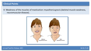 Ismail Fadhil Abbas, MD M.B.Ch.B
Anatomy of Trigeminal nerve
4- Weakness of the muscles of mastication:myastheniagravis (skeletal muscle weakness,
neuromuscular disease).
Clinical Points
 