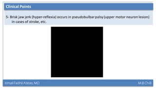 Ismail Fadhil Abbas, MD M.B.Ch.B
Anatomy of Trigeminal nerve
5- Brisk jaw jerk (hyper-reflexia) occurs in pseudobulbarpalsy(upper motor neuron lesion)
in cases of stroke, etc.
Clinical Points
 