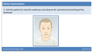 Ismail Fadhil Abbas, MD M.B.Ch.B
Anatomy of Trigeminal nerve
C- Ask the patient to raise the eyebrows and observe for symmetrical wrinkling of the
forehead
Motor Examination
 