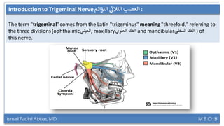 Ismail Fadhil Abbas, MD M.B.Ch.B
Introduction to Trigeminal nerve :‫ي‬‫ثالث‬ ‫عصب‬‫التؤائم‬
The term "trigeminal"comes from the Latin "trigeminus" meaning "threefold," referring to
the three divisions (ophthalmic‫,العيني‬ maxillary‫العلوي‬ ‫الفك‬ and mandibular‫السفلي‬ ‫الفك‬ ) of
this nerve.
Introduction to Trigeminal Nerve :‫ي‬‫الثالث‬ ‫العصب‬‫التؤائم‬
 