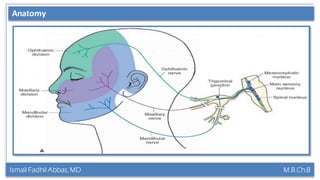 Ismail Fadhil Abbas, MD M.B.Ch.B
Anatomy of Trigeminal nerveAnatomy
 