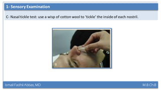 Ismail Fadhil Abbas, MD M.B.Ch.B
Anatomy of Trigeminal nerve
C- Nasaltickle test: use a wisp of cotton wool to ‘tickle’ the inside of each nostril.
1- Sensory Examination
 
