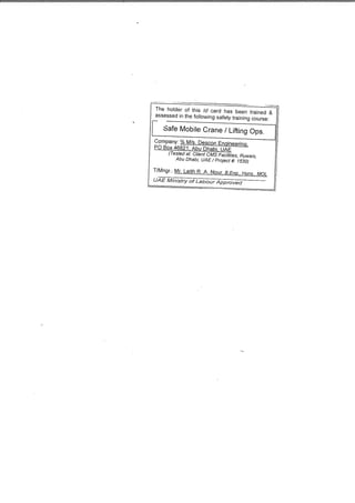 TIB.200ton crane cefti