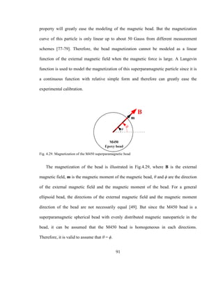 91
property will greatly ease the modeling of the magnetic bead. But the magnetization
curve of this particle is only linear up to about 50 Gauss from different measurement
schemes [77-79]. Therefore, the bead magnetization cannot be modeled as a linear
function of the external magnetic field when the magnetic force is large. A Langevin
function is used to model the magnetization of this superparamagnetic particle since it is
a continuous function with relative simple form and therefore can greatly ease the
experimental calibration.
Fig. 4.29. Magnetization of the M450 superparamagnetic bead
The magnetization of the bead is illustrated in Fig.4.29, where B is the external
magnetic field, m is the magnetic moment of the magnetic bead, θ and ϕ are the direction
of the external magnetic field and the magnetic moment of the bead. For a general
ellipsoid bead, the directions of the external magnetic field and the magnetic moment
direction of the bead are not necessarily equal [49]. But since the M450 bead is a
superparamagnetic spherical bead with evenly distributed magnetic nanoparticle in the
bead, it can be assumed that the M450 bead is homogeneous in each directions.
Therefore, it is valid to assume that θ = ϕ.
 
