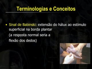 Terminologias e Conceitos 
•Sinal de Babinski: extensão do hálux ao estímulo superficial na borda plantar 
(a resposta normal seria a 
flexão dos dedos) 
Pesquisa do reflexo cutâneo-plantar  