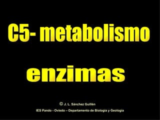 C5- metabolismo enzimas IES Pando - Oviedo – Departamento de Biología y Geología ©  J. L. Sánchez Guillén 