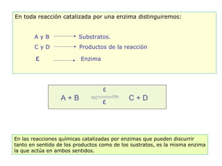 A + B  C + D ε En toda reacción catalizada por una enzima distinguiremos: A y B  Substratos. C y D  Productos de la reacción ε   Enzima En las reacciones químicas catalizadas por enzimas que pueden discurrir  tanto en sentido de los productos como de los sustratos, es la misma enzima la que actúa en ambos sentidos. ε 