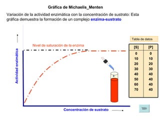 Gráfica de Michaelis_Menten Variación de la actividad enzimática con la concentración de sustrato: Esta gráfica demuestra la formación de un complejo  enzima-sustrato Actividad enzimática Concentración de sustrato Nivel de saturación de la enzima Tabla de datos 0 10 20 30 40 40 40 40 0 10 20 30 40 50 60 70 [P] [S] 