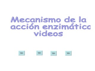 Mecanismo de la acción enzimática videos 