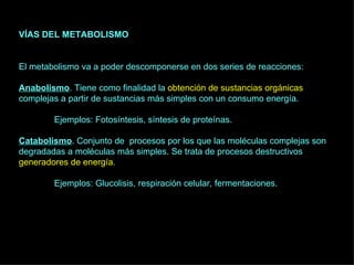 VÍAS DEL METABOLISMO El metabolismo va a poder descomponerse en dos series de reacciones: Anabolismo . Tiene como finalidad la  obtención de sustancias orgánicas  complejas a partir de sustancias más simples con un consumo energía.  Ejemplos: Fotosíntesis, síntesis de proteínas. Catabolismo . Conjunto de  procesos por los que las moléculas complejas son degradadas a moléculas más simples. Se trata de procesos destructivos  generadores de energía . Ejemplos: Glucolisis, respiración celular, fermentaciones. 