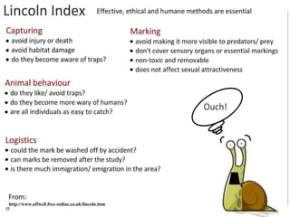 C5 population ecology | PPTX