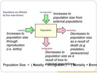 C5 population ecology | PPTX