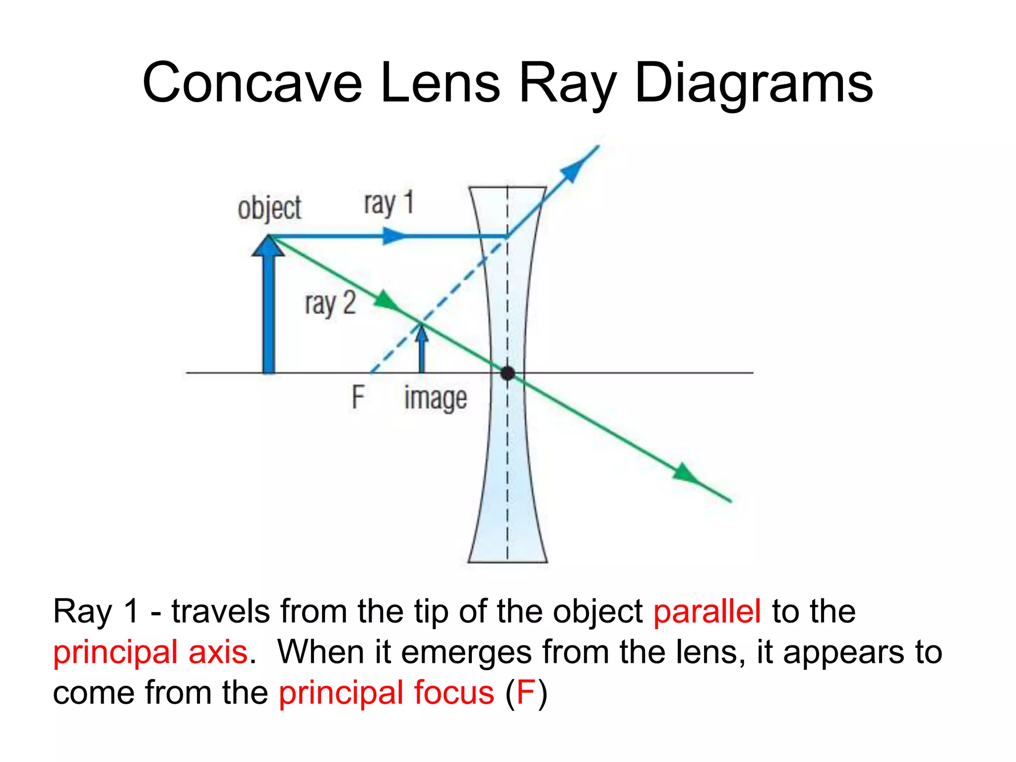 Concave Lens Ray Diagrams
Ray 1 - travels from the tip of the object parallel to the
principal axis. When it emerges from the lens, it appears to
come from the principal focus (F)
 