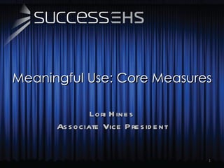 Meaningful Use: Core Measures Lori Hines Associate Vice President 