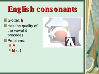 English consonants Glottal:  h Has the quality of the vowel it precedes Problems: hj  (  .  ) w 