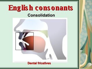 English consonants Consolidation Dental fricatives 