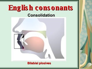 English consonants Consolidation Bilabial plosives 