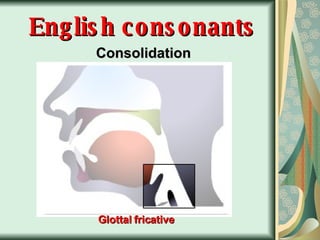 English consonants Consolidation Glottal fricative 