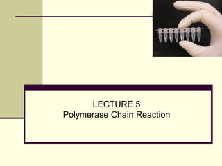 LECTURE 5
Polymerase Chain Reaction

 