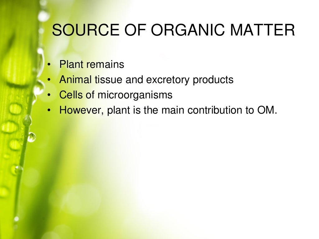 organic matter