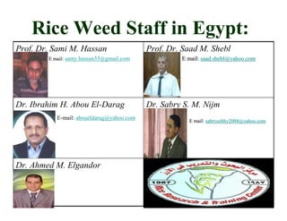 43
Rice Weed Staff in Egypt:
Dr. Ahmed M. Elgandor
Dr. Sabry S. M. Nijm
sabrysobhy2008@yahoo.comsabrysobhy2008@yahoo.comE mail:E mail:
Dr. Ibrahim H. Abou El-Darag
aboueldarag@yahoo.commail:-E
Prof. Dr. Saad M. Shebl
saad.shebl@yahoo.comsaad.shebl@yahoo.comE mail:E mail:
Prof. Dr. Sami M. Hassan
samy.hassan33@gmail.comE mail:E mail:
 